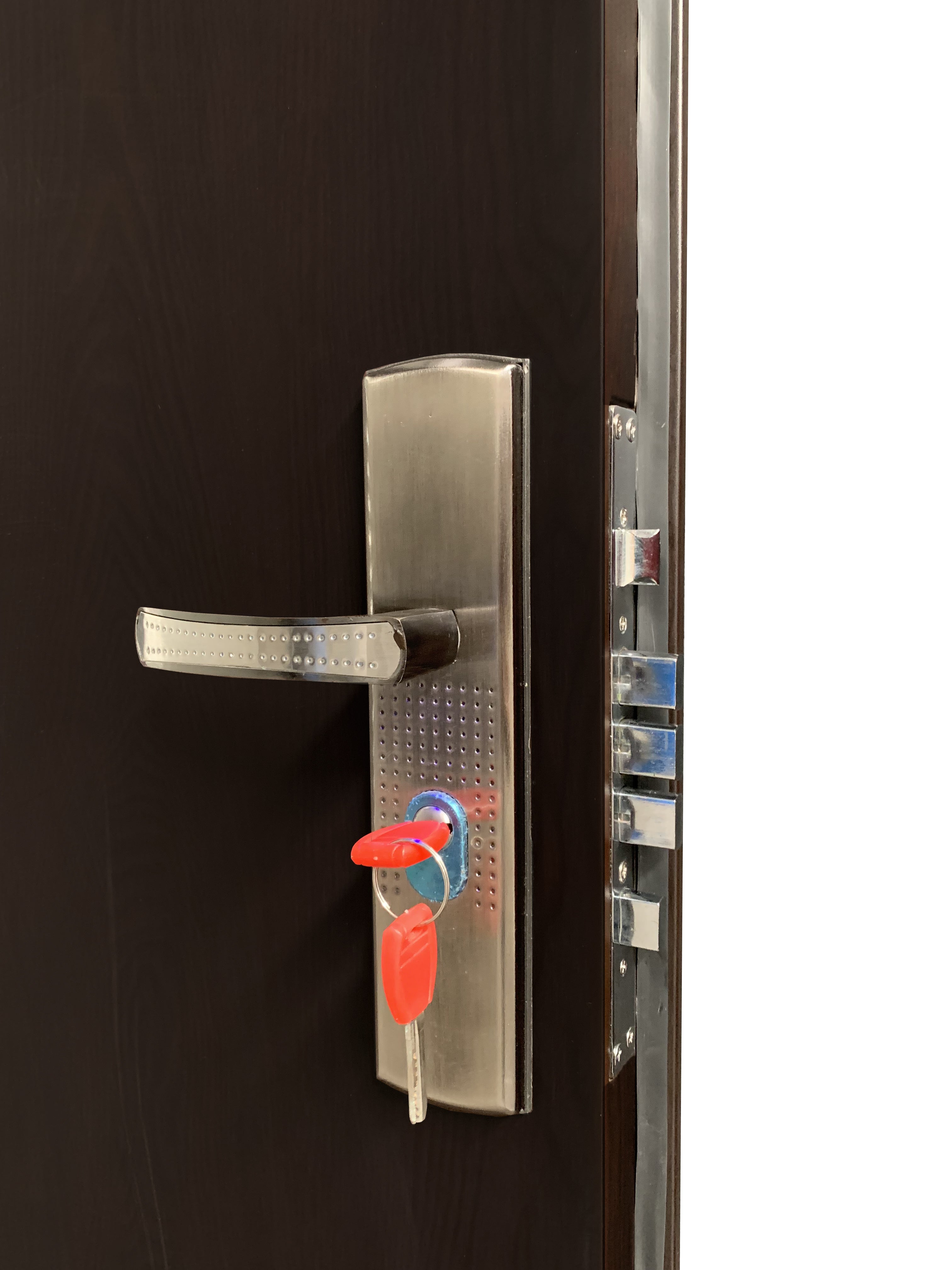 Puerta de Seguridad H-10F  (B) Patinado