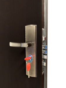 Puerta de Seguridad H-10F  (B) Patinado