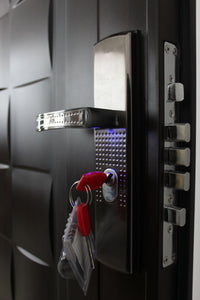 Puerta de Seguridad Con Fijo Modelo Hoss-13F Color Chocolate