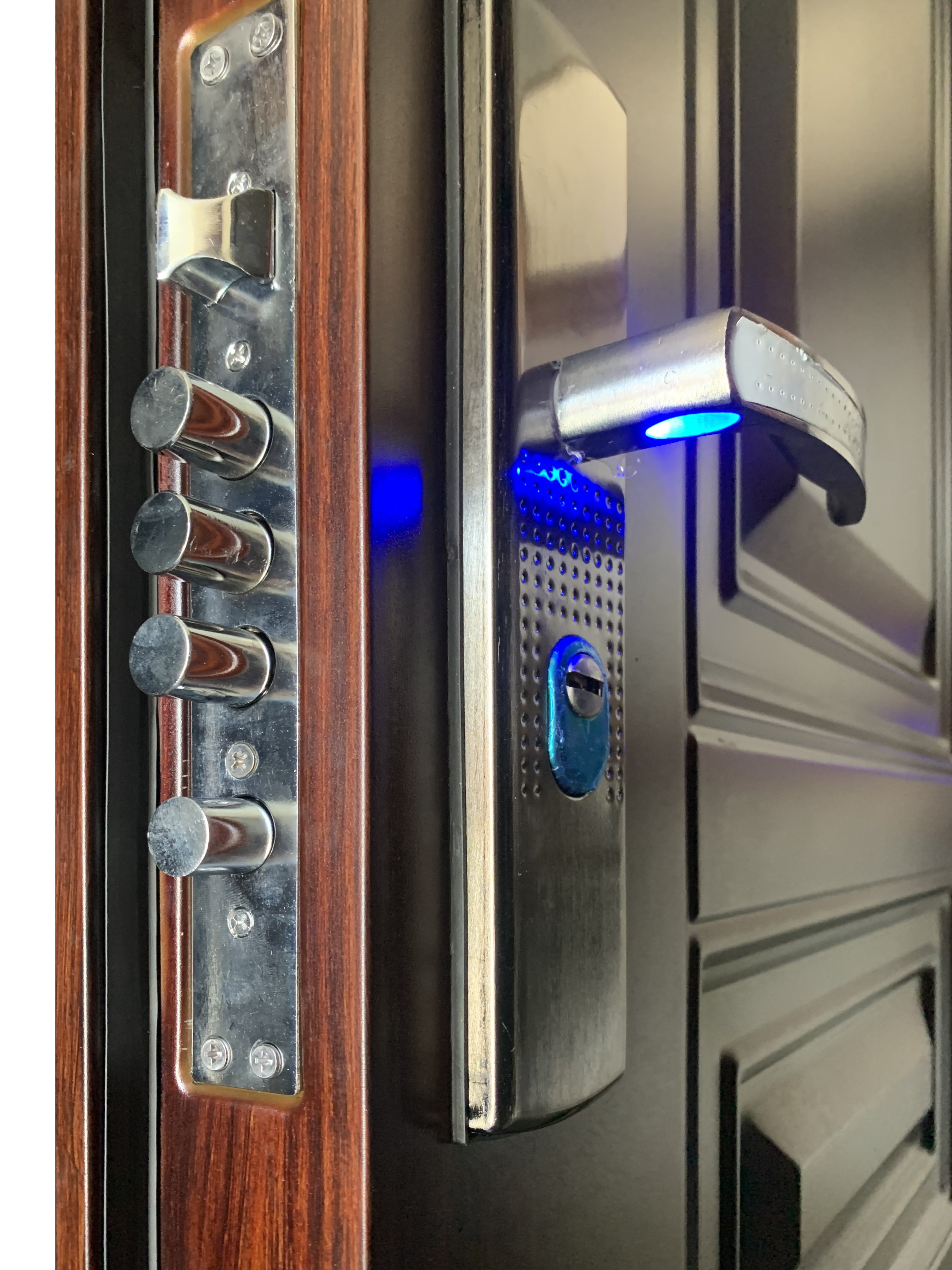 Puerta de Seguridad Modelo Estándar Hoss-604 Color Negro